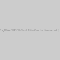 Image of CTAG2 sgRNA CRISPR/Cas9 All-in-One Lentivector set (Human)